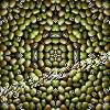 Green Mung Bean Mandala